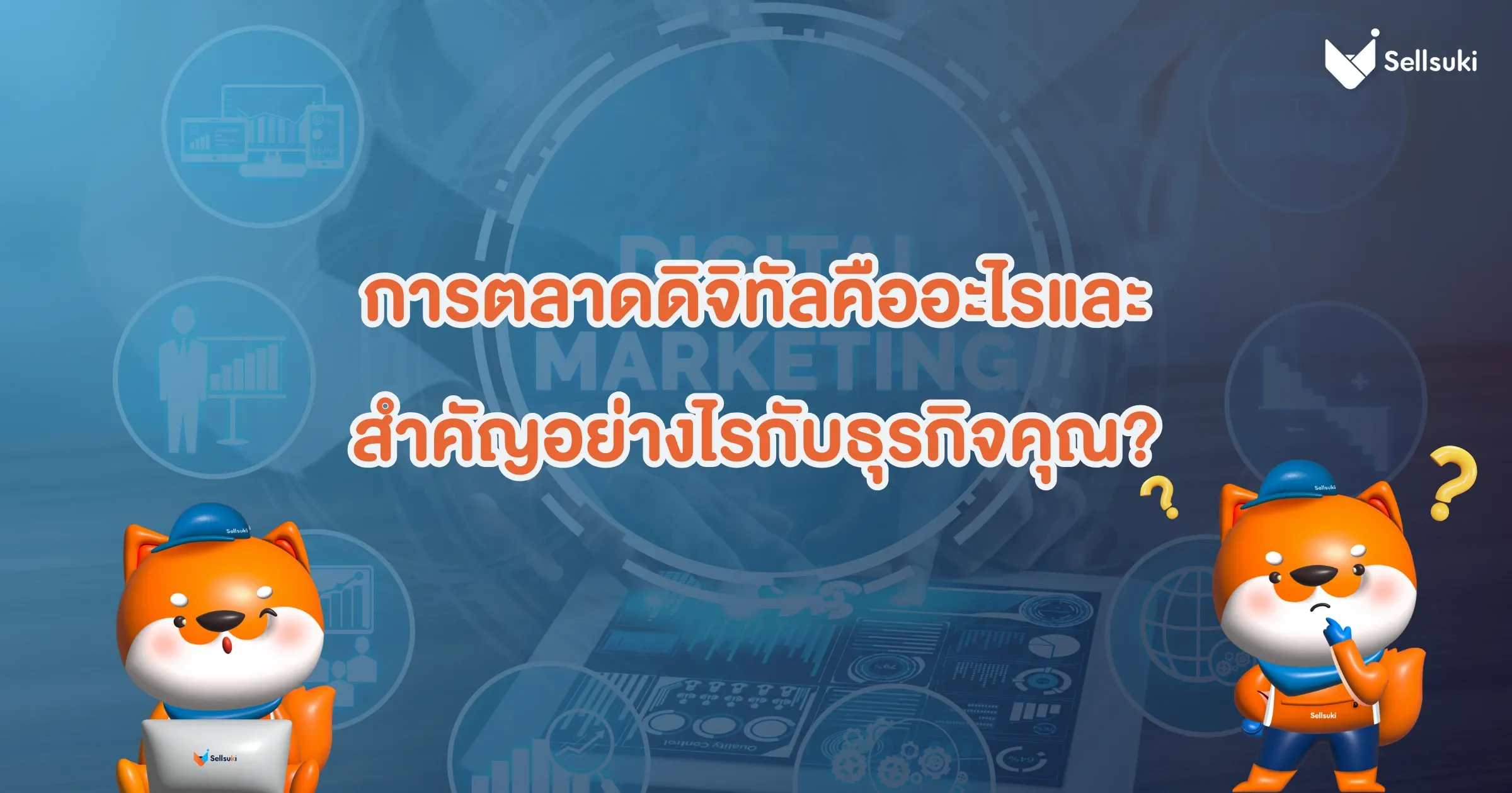 3.webp